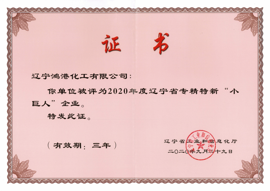 专精特新小巨人